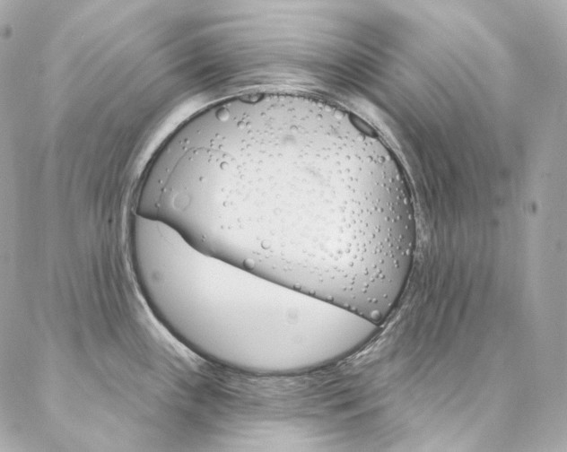 X0000087031243200704161353