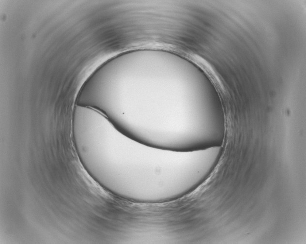 X0000087031244200704161353