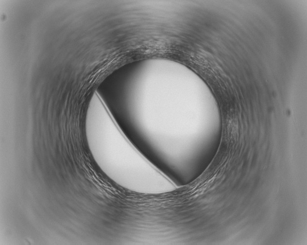 X0000087031250200704161352
