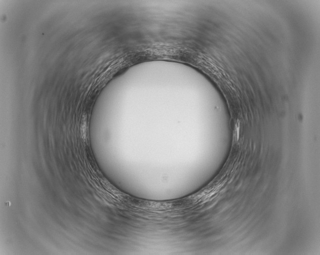 X0000087031251200704161352