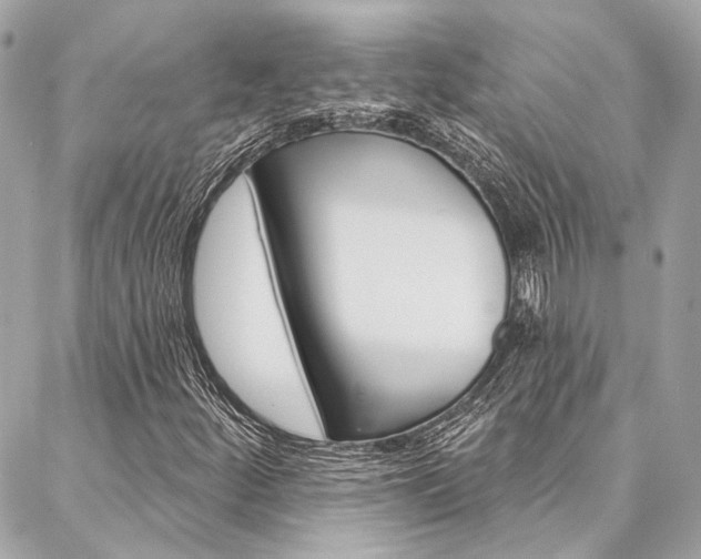 X0000087031252200704161352