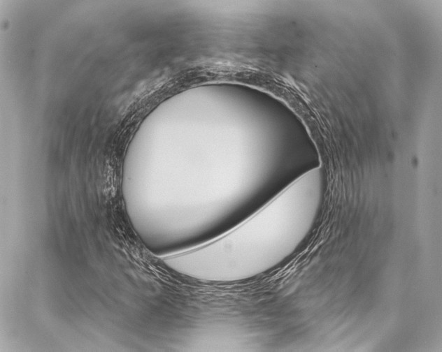 X0000087031253200704161352