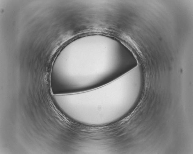 X0000087031260200704161352