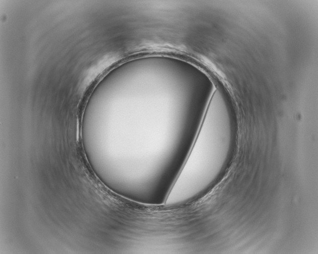 X0000087031269200704161352