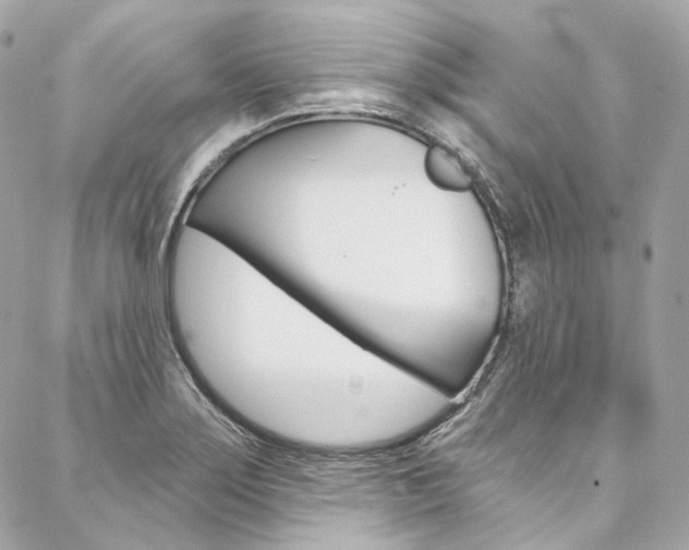 X0000087031275200704161352