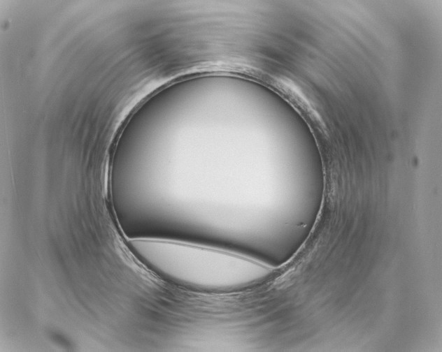 X0000087031276200704161352