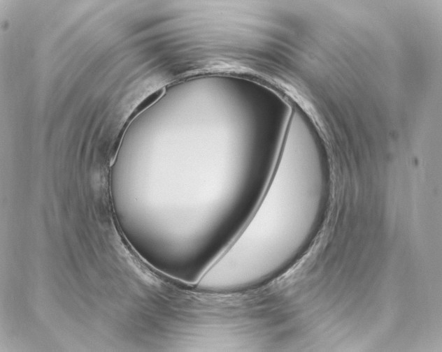 X0000087031281200704161351
