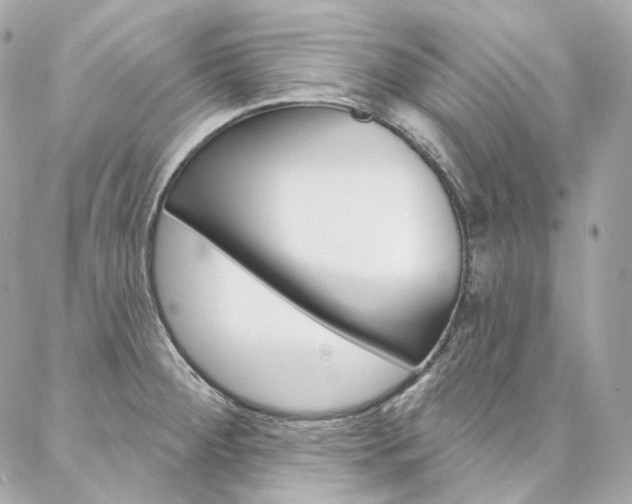 X0000087031284200704161351