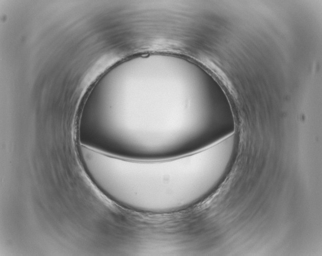 X0000087031285200704161351