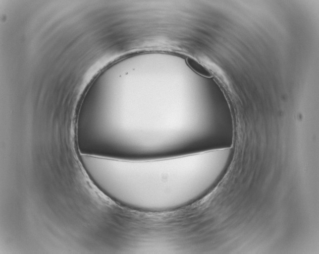 X0000087031288200704161351