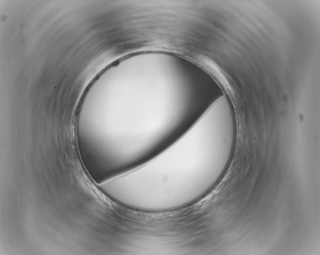 X0000087031292200704161351