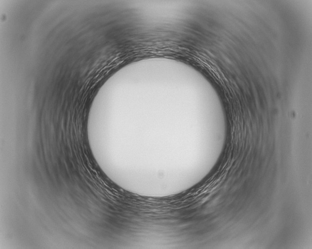 X0000087031298200704161350