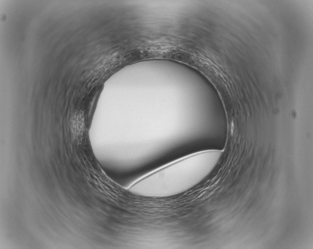 X0000087031299200704161350