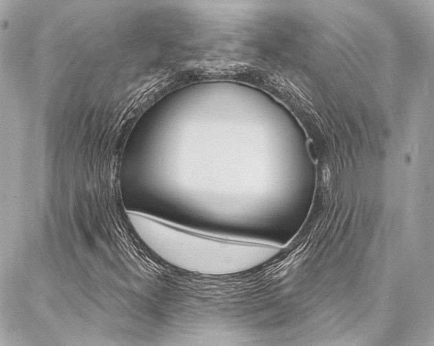 X0000087031300200704161350
