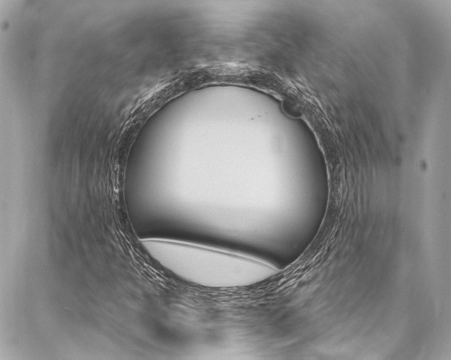 X0000087031301200704161350