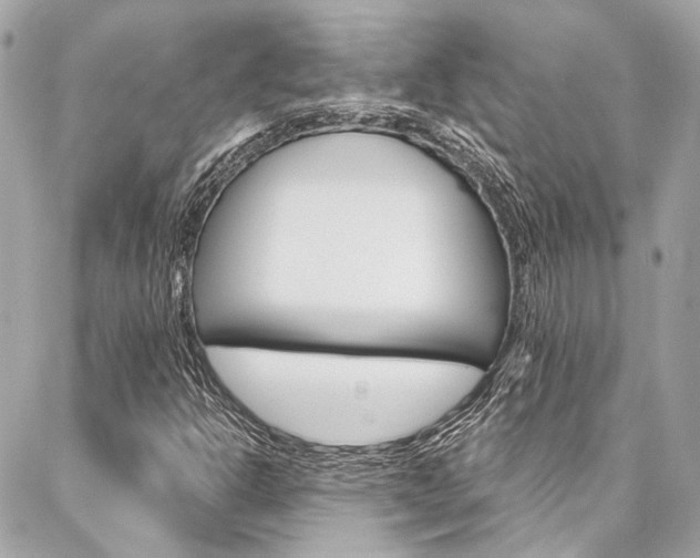 X0000087031302200704161350