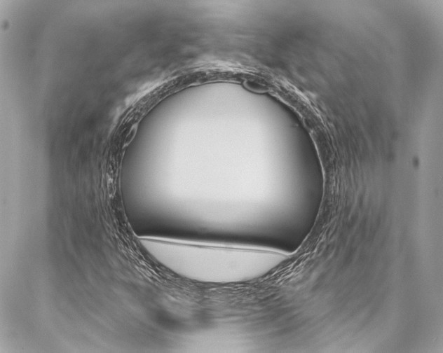 X0000087031303200704161351