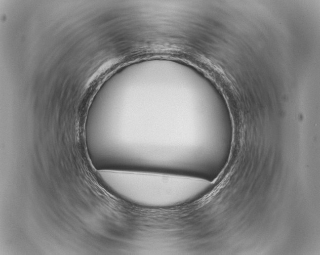 X0000087031306200704161351