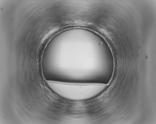 X0000087031307200704161351