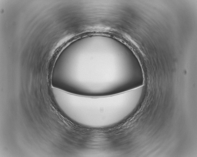 X0000087031315200704161351