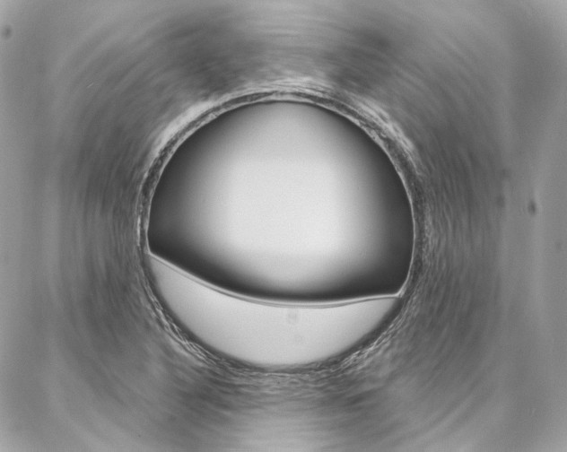 X0000087031316200704161351