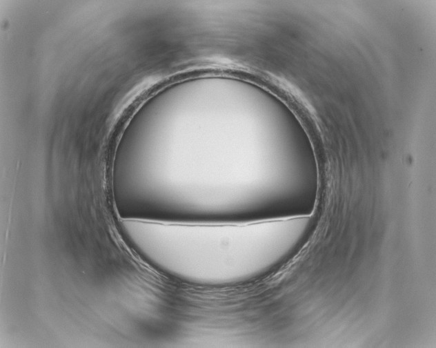 X0000087031318200704161351