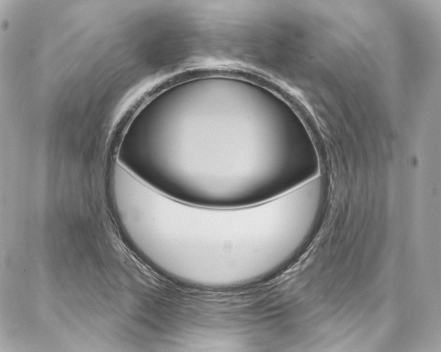 X0000087031319200704161351