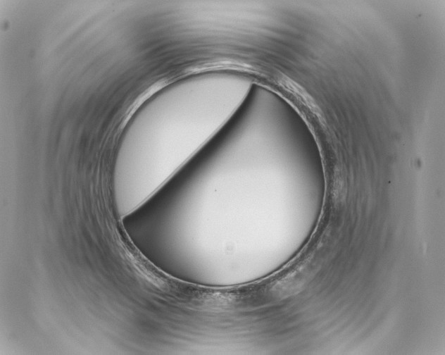 X0000087031321200704161351