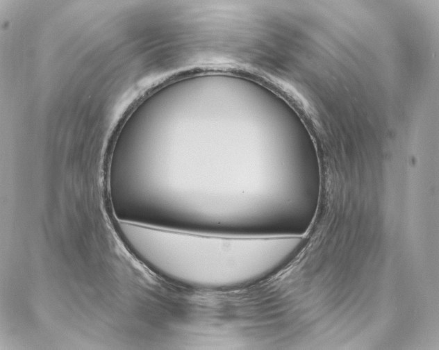 X0000087031327200704161351