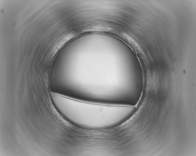 X0000087031329200704161351