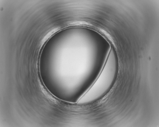 X0000087031330200704161351