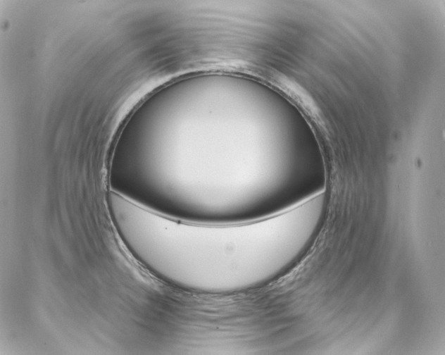 X0000087031332200704161351