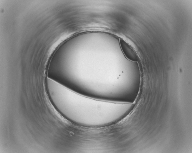 X0000087031333200704161351
