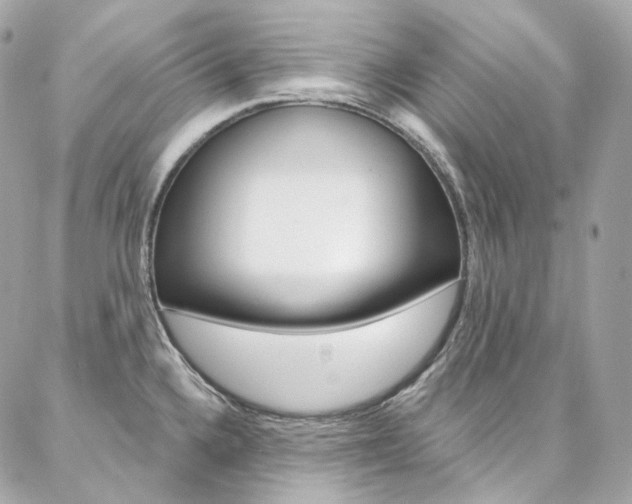 X0000087031336200704161351