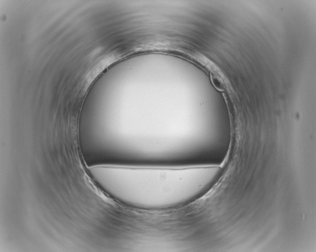 X0000087031337200704161351