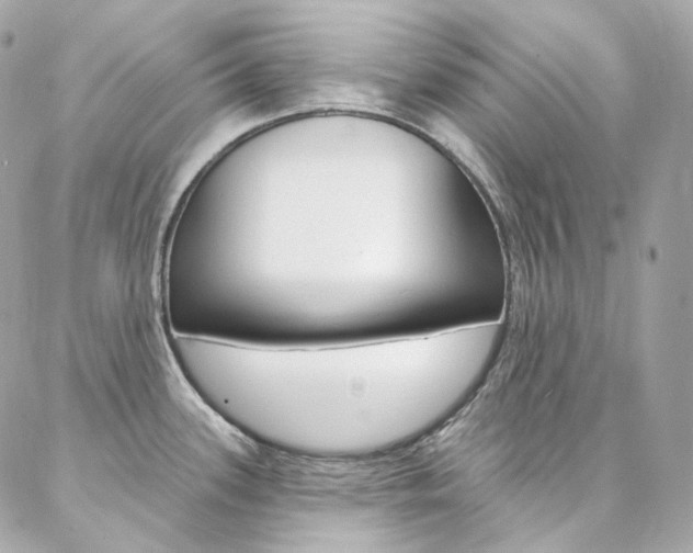 X0000087031339200704161351