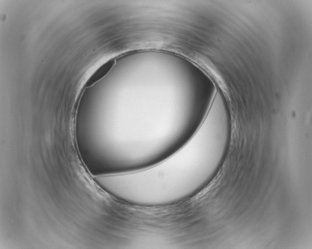 X0000087031340200704161351