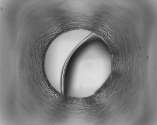 X0000087031345200704161350