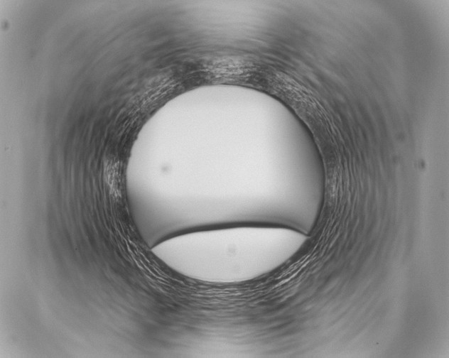 X0000087031346200704161350