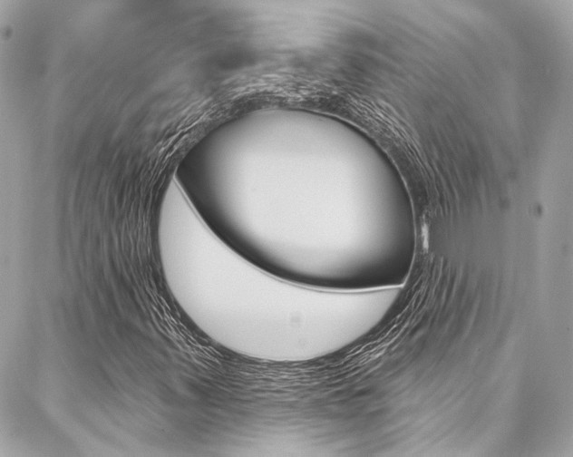 X0000087031347200704161350