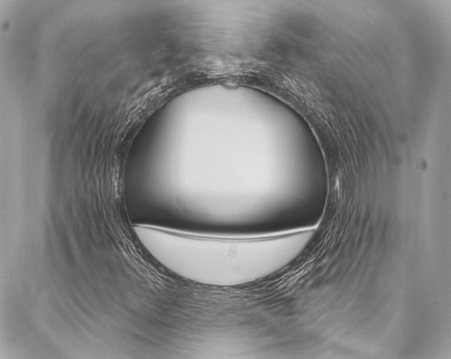 X0000087031348200704161350