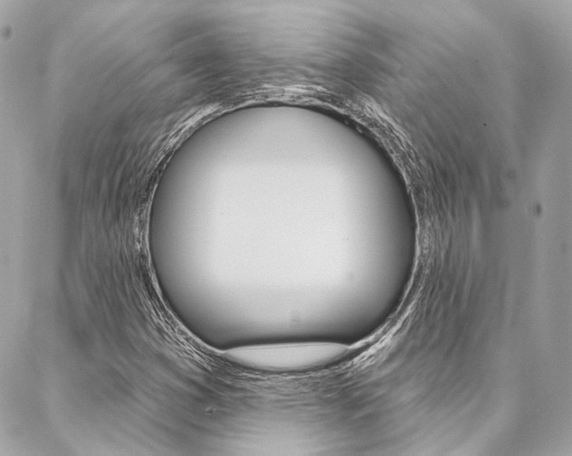 X0000087031353200704161350