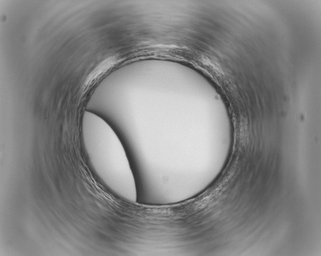X0000087031354200704161350