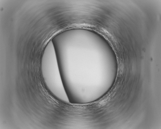 X0000087031361200704161350