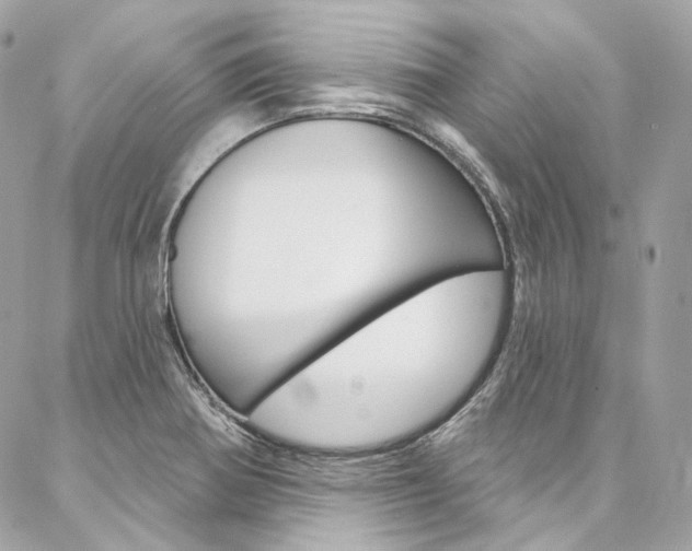 X0000087031370200704161350