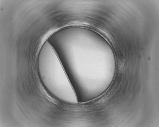 X0000087031371200704161350