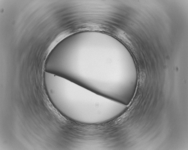 X0000087031378200704161350