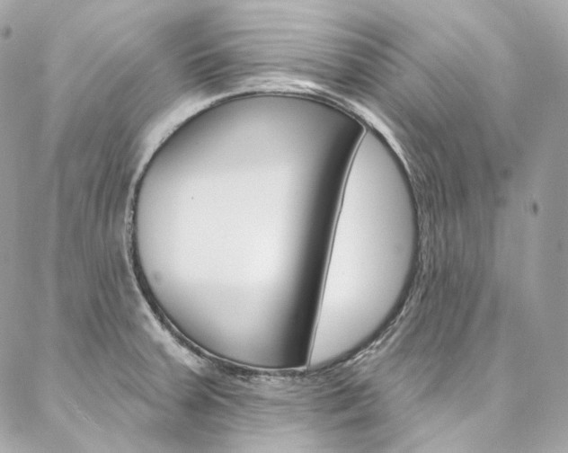 X0000087031379200704161350