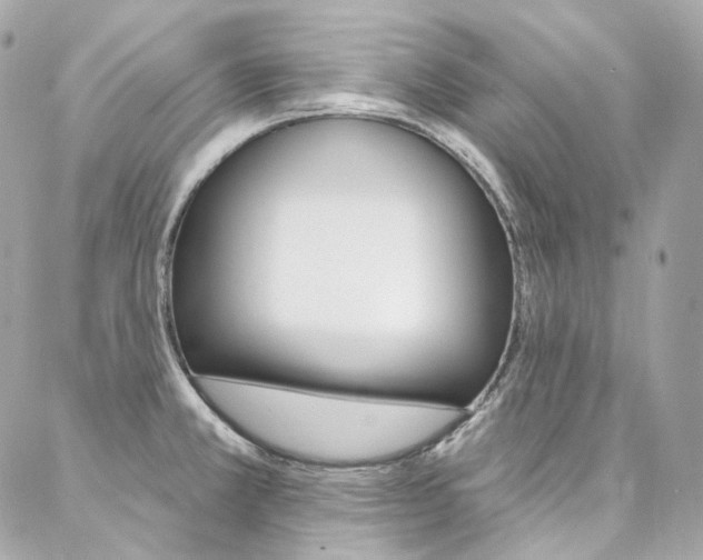 X0000087031381200704161350