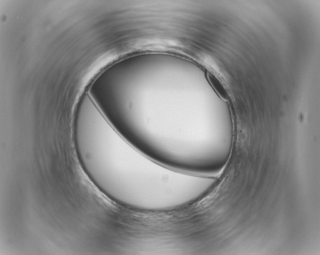 X0000087031384200704161350